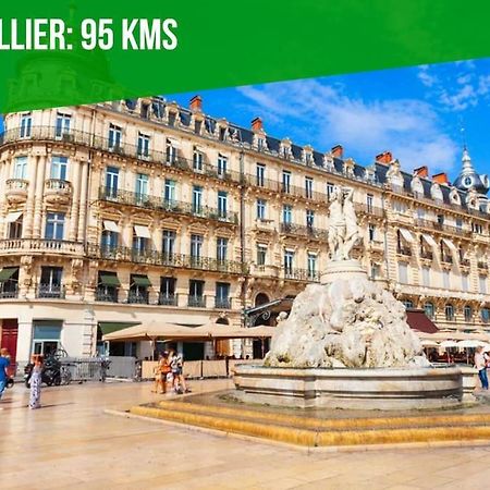 La Bulle - Parking Gratuit En Souterrain - 2 Mins Du Palais Des Papes - Clim Ac - Wifi Apartment อาวีญง ภายนอก รูปภาพ